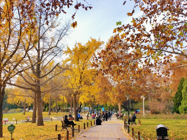 体育游戏app平台感受着冬日的宁静；或三五好友聚在一齐-开云「中国」kaiyun网页版登录入口